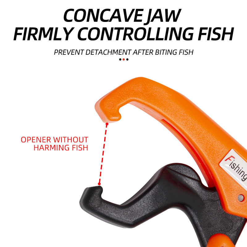ShareShark Fischgreifer aus AB – Fishing Hook Sharpener Bewertung und Preis